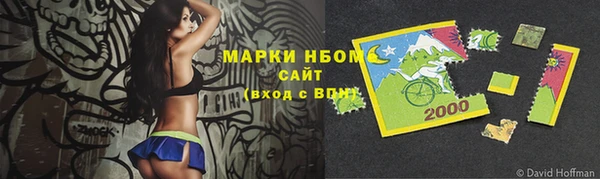 шишки Абаза
