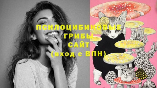 амф Абдулино