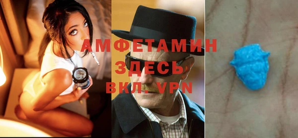 шишки Абаза