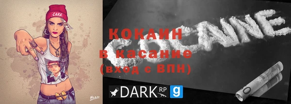 шишки Абаза