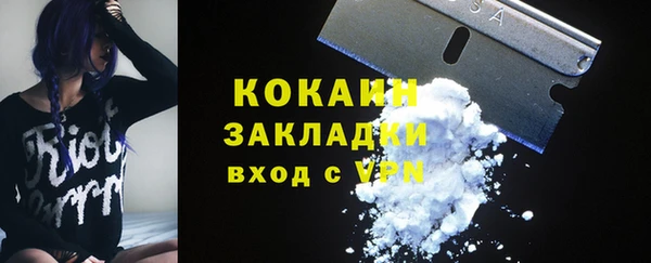 крисы Алзамай