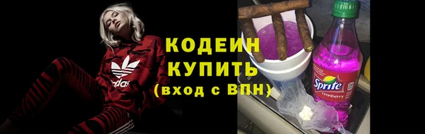 индика Надым