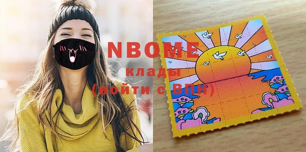 шишки Абаза
