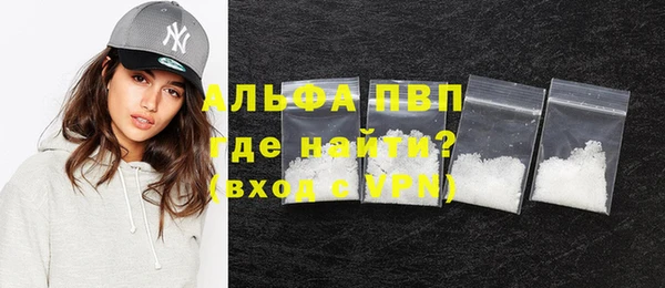 шишки Абаза