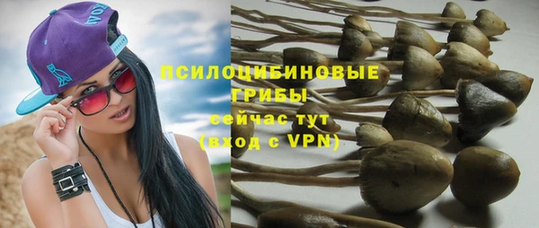 соль ск Навашино